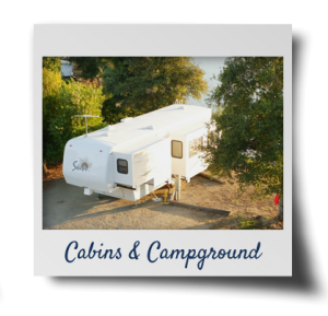 cabins-and-campground