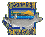 catfish