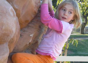 Boulder Island Adventure Course