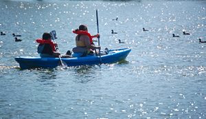 Kayak
