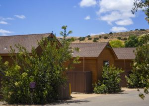 LandCabinBack