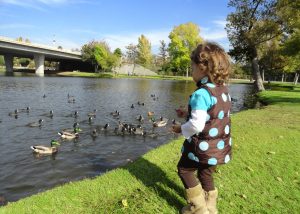 Little Girl feeding the ducks